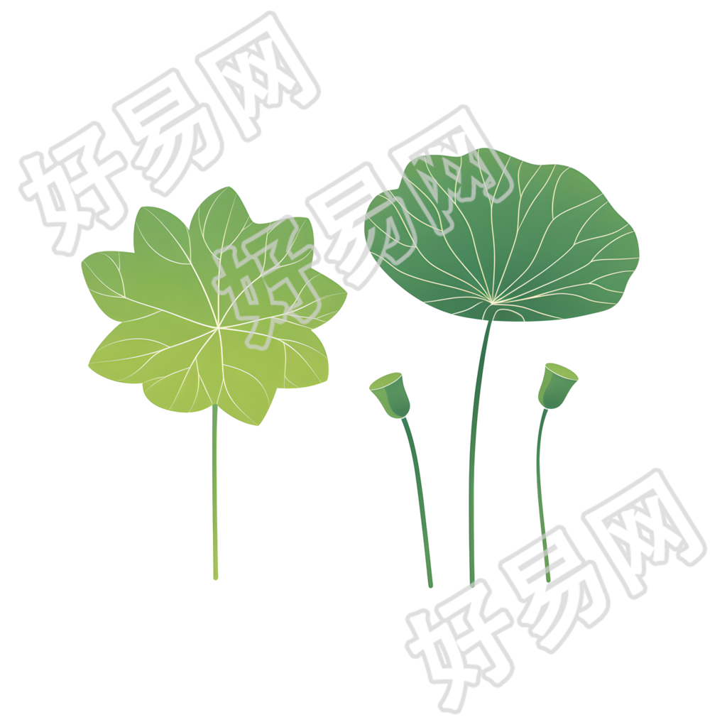 渐变荷叶创意插图