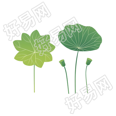 渐变荷叶创意插图