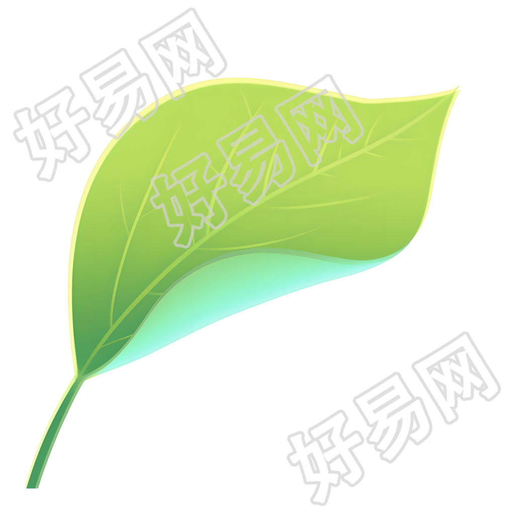 绿叶矢量插画