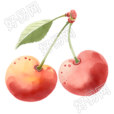 夏天樱桃水彩插画