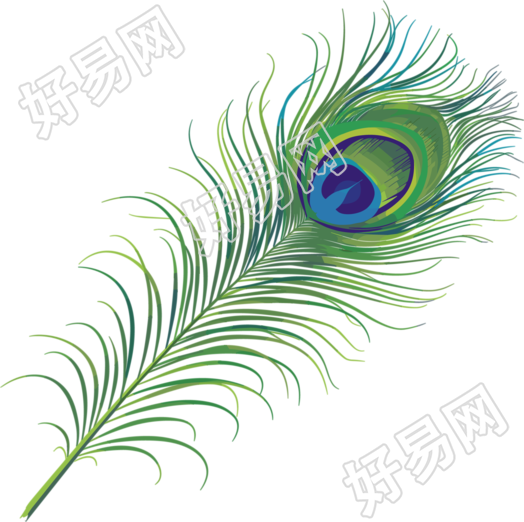 孔雀羽毛创意设计素材
