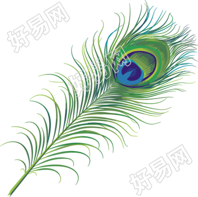孔雀羽毛创意设计素材