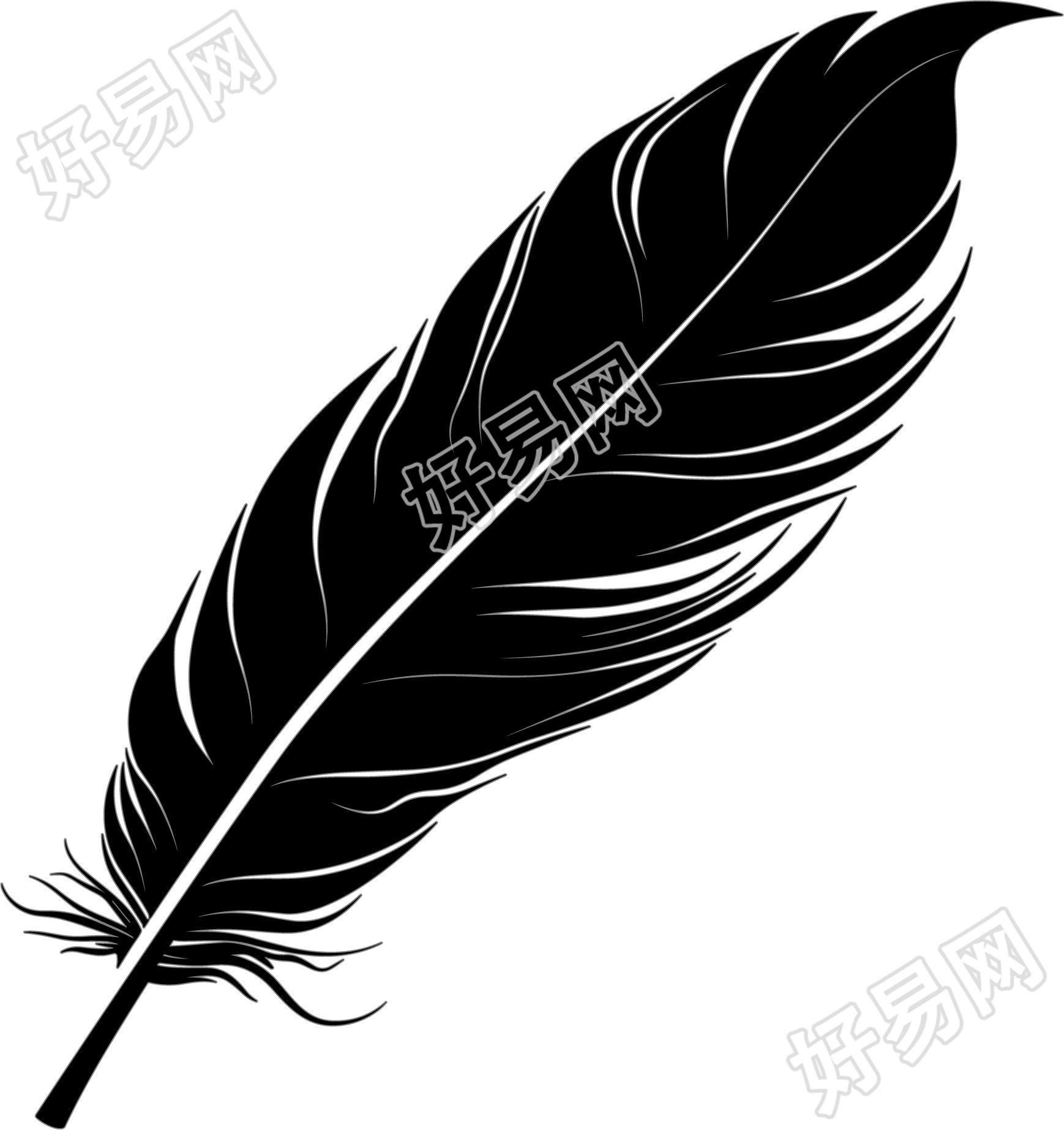 羽毛卡通插画