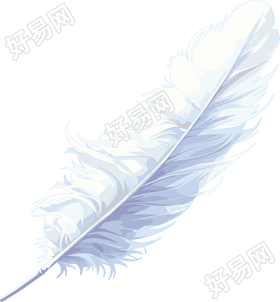 羽毛插画素材