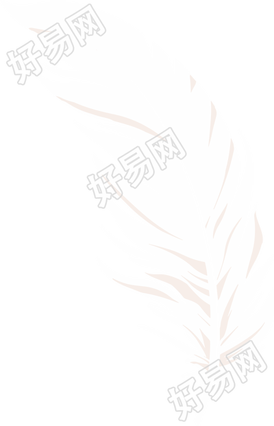 羽毛插图设计素材
