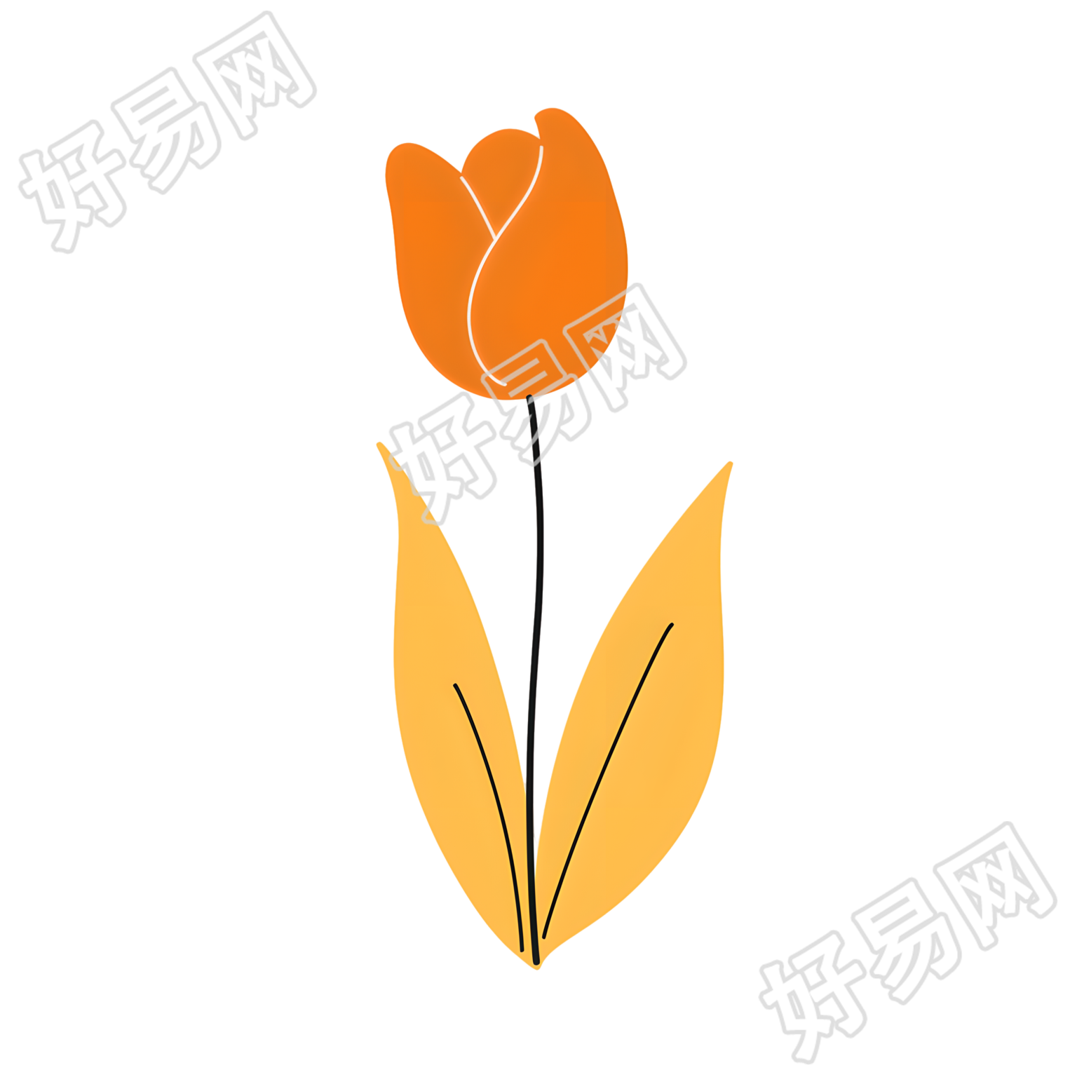 单支郁金香简笔画素材