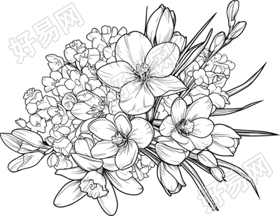 花卉素描插图