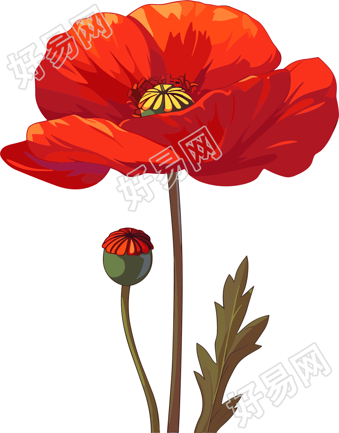 禁毒罂粟花红色插图