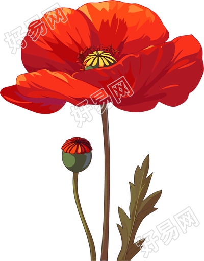 禁毒罂粟花红色插图