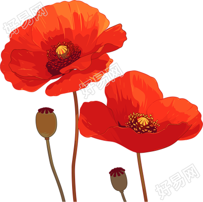 禁毒罂粟花卡通素材