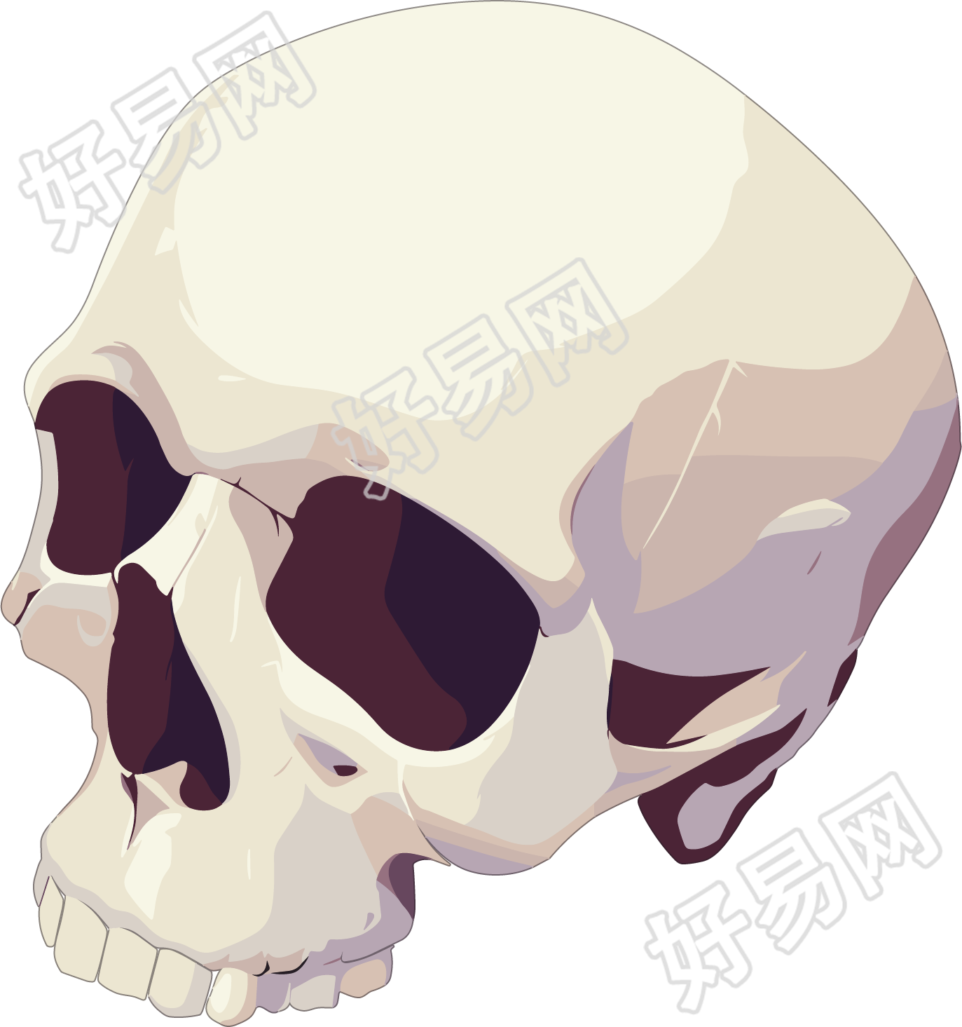 禁毒骷髅头素材