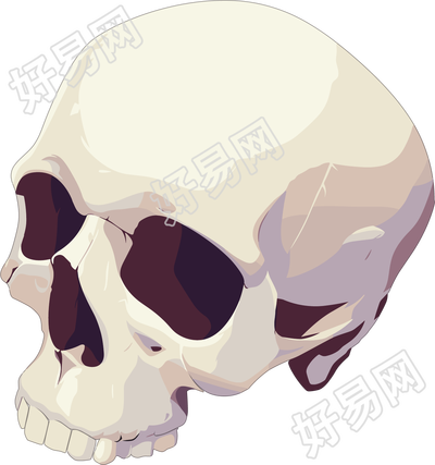 禁毒骷髅头素材