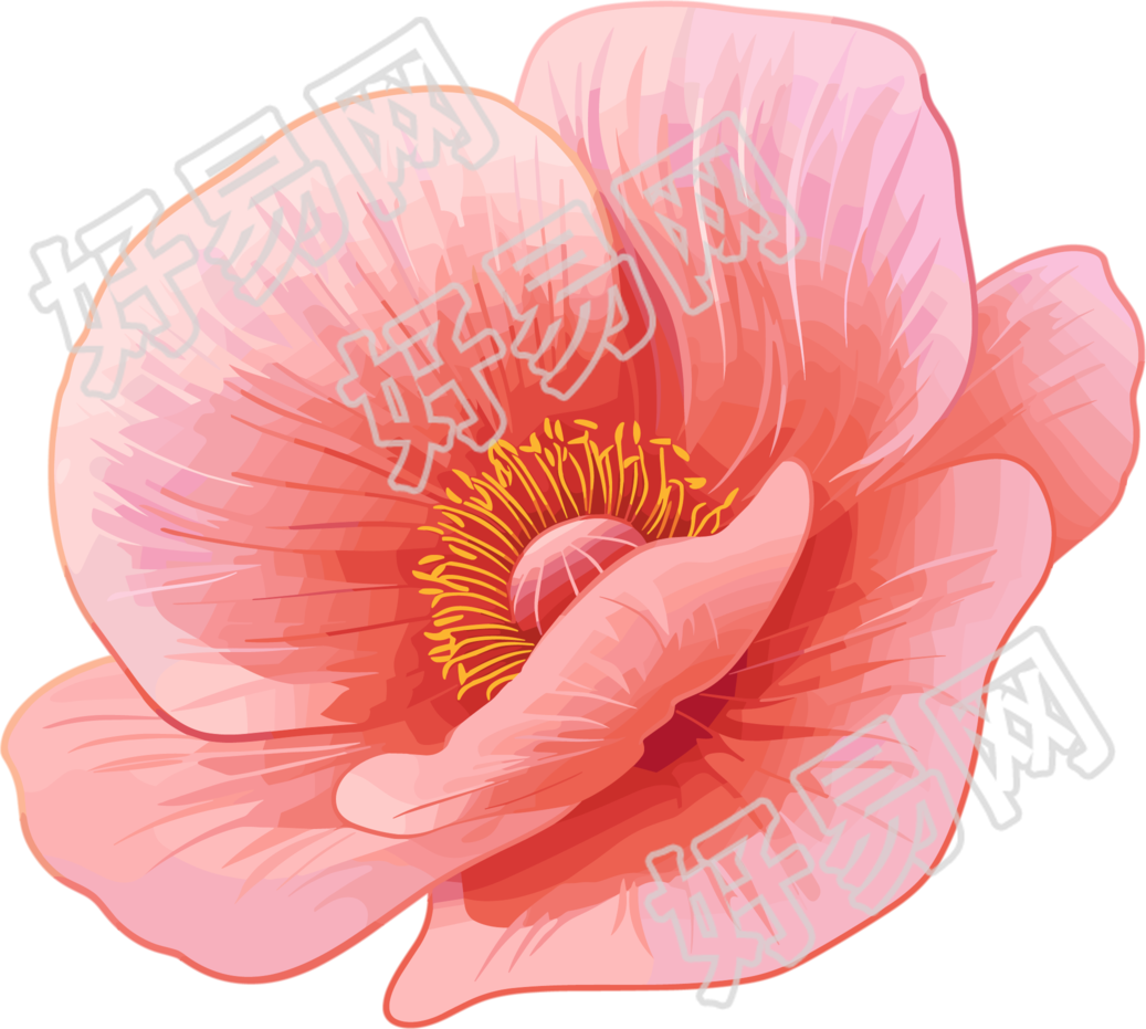 禁毒罂粟花瓣插图