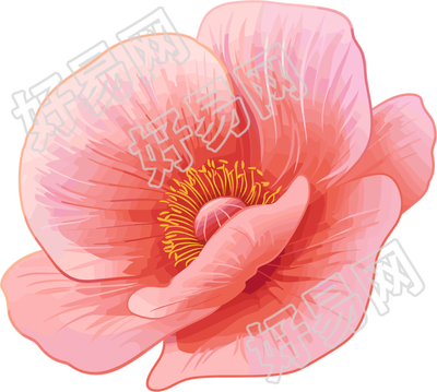 禁毒罂粟花瓣插图
