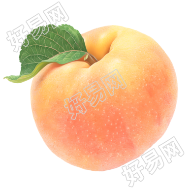 桃子铅笔画插图