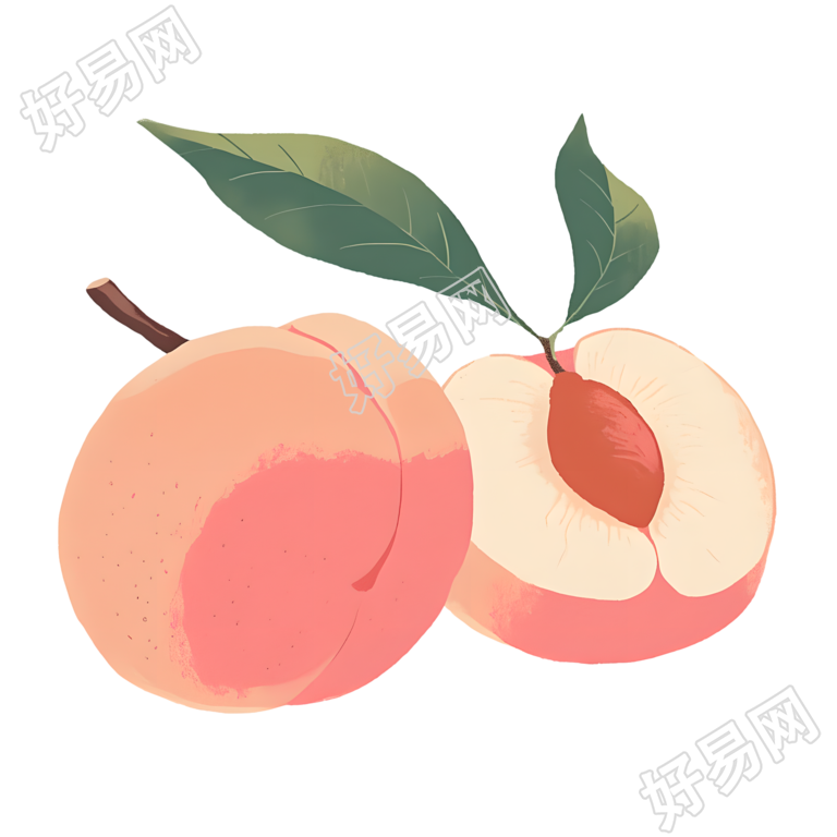 桃子矢量插图
