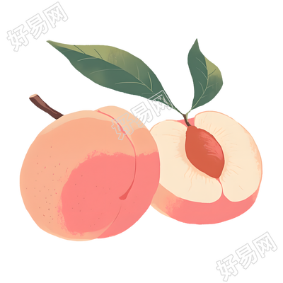 桃子矢量插图