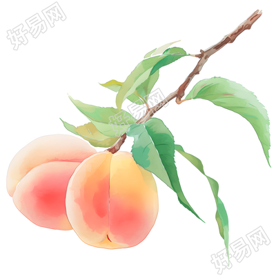 桃子简约风格素材
