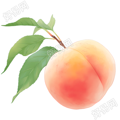 桃子可商用插图
