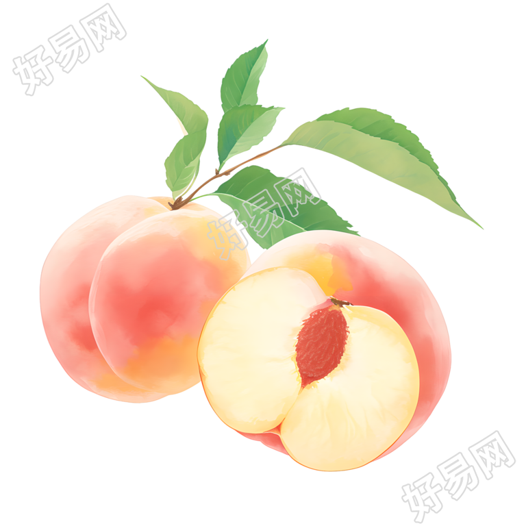 桃子创意插画
