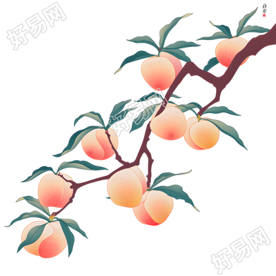 桃子商业设计素材