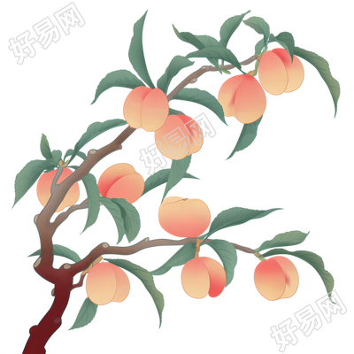 桃子桃枝插画