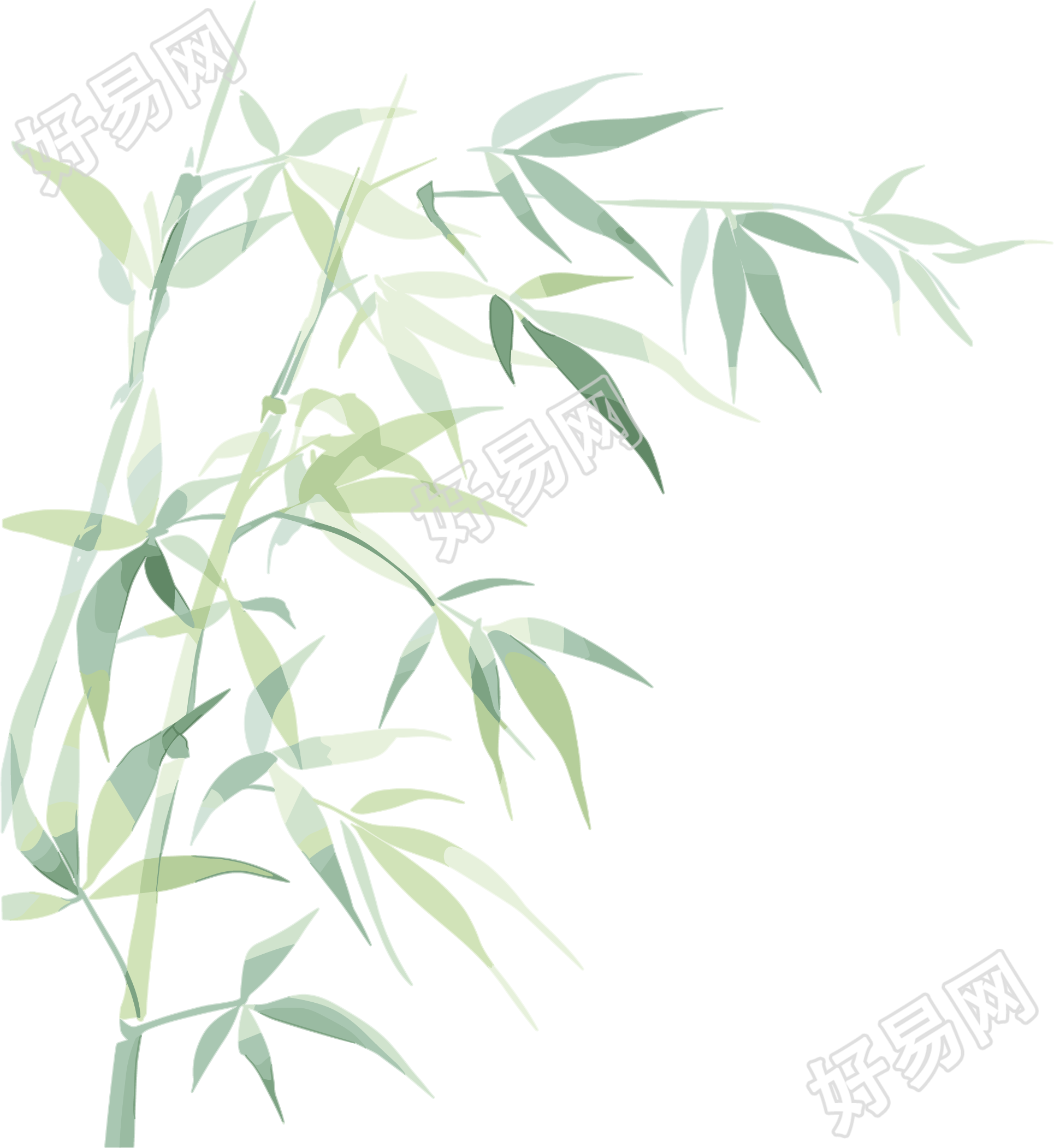 竹叶竹子插画