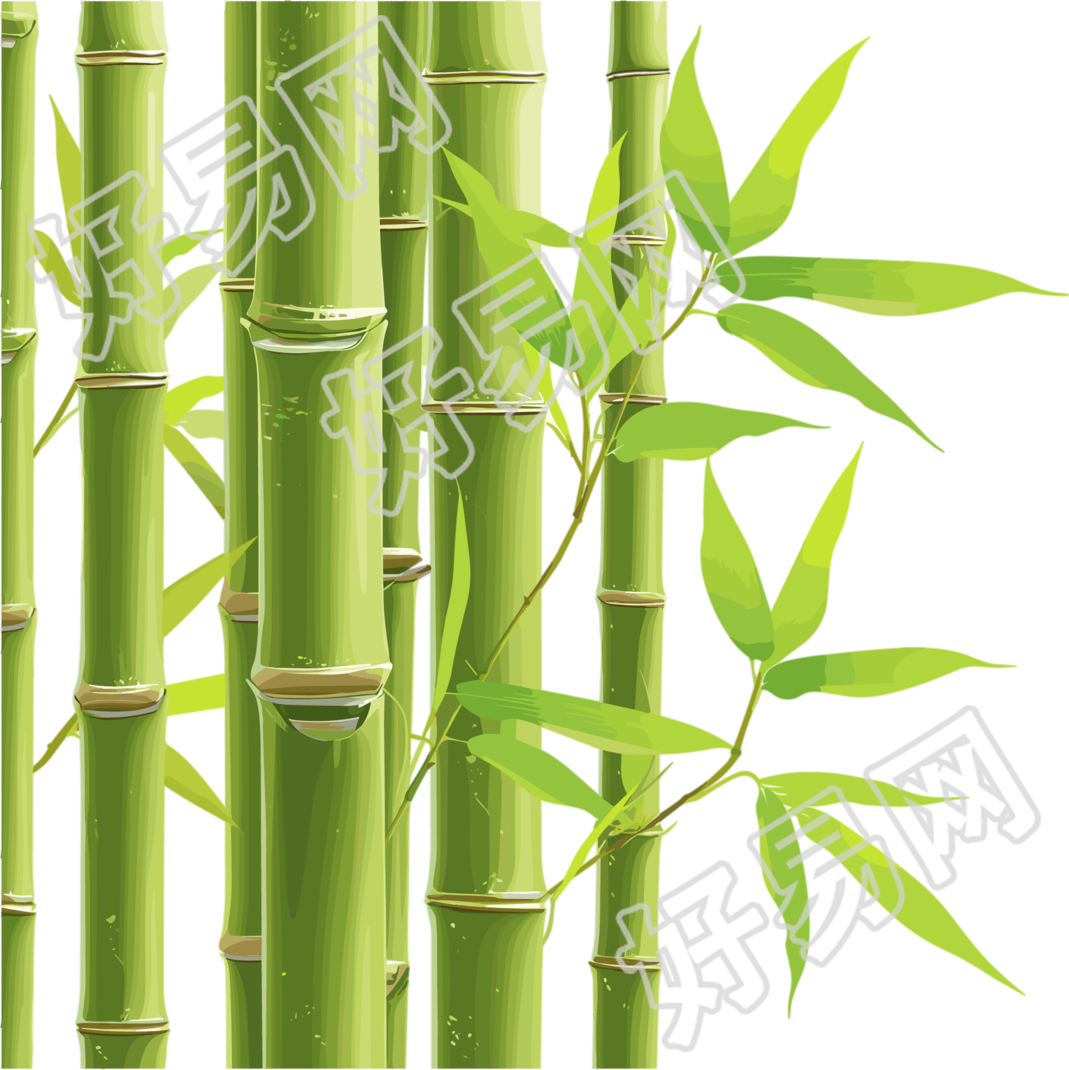 竹子插画素材