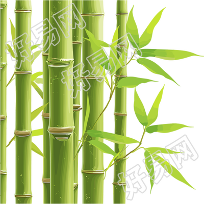 竹子插画素材