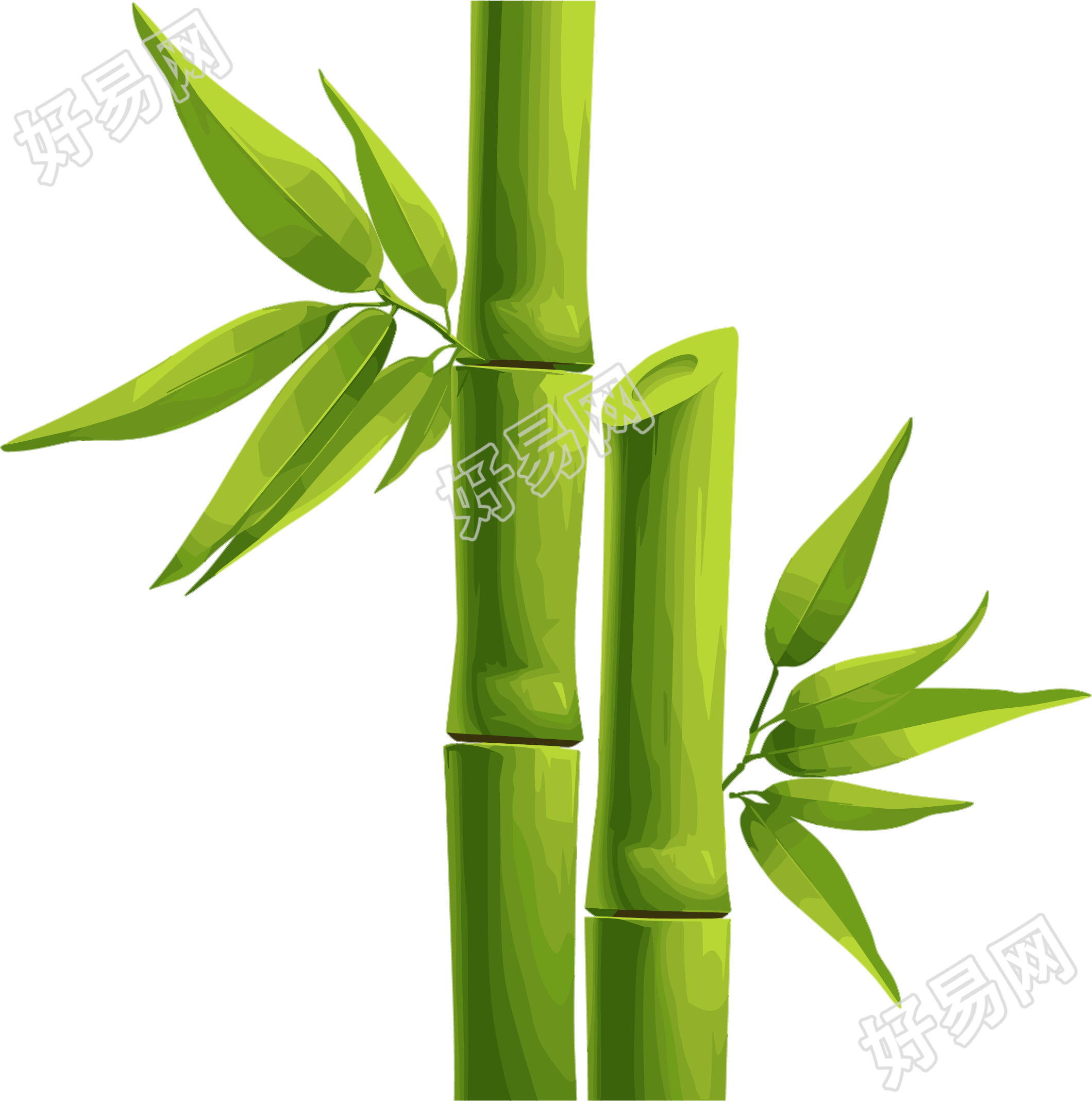 竹子透明背景素材