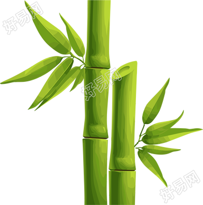 竹子透明背景素材