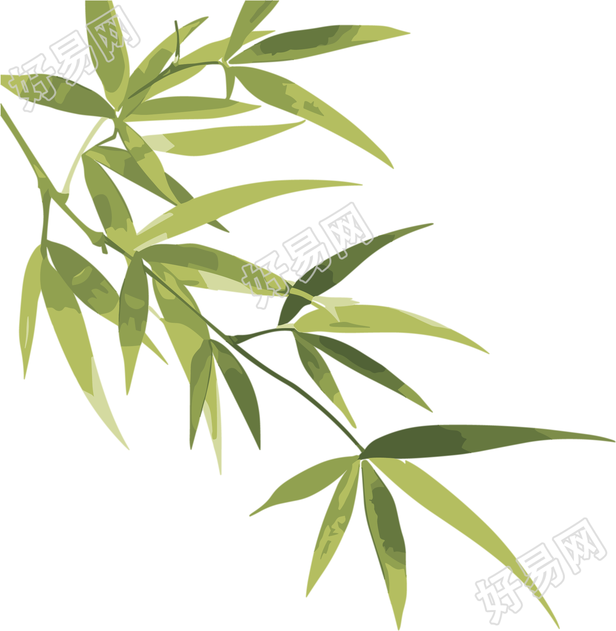 竹叶矢量插画