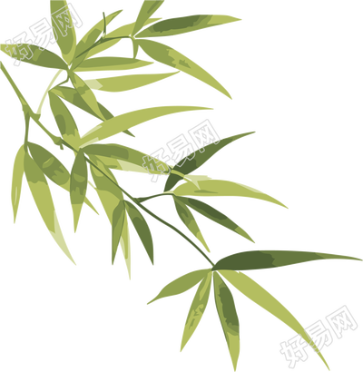 竹叶矢量插画
