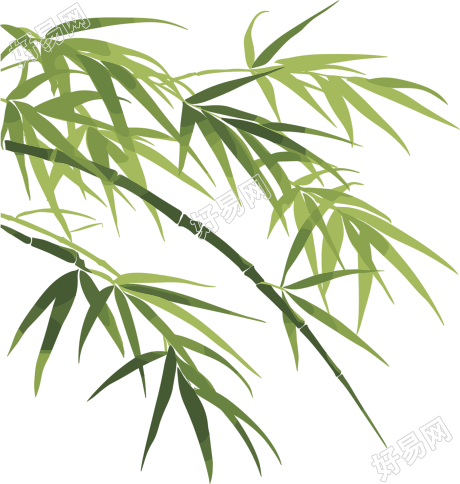 竹叶插画设计元素