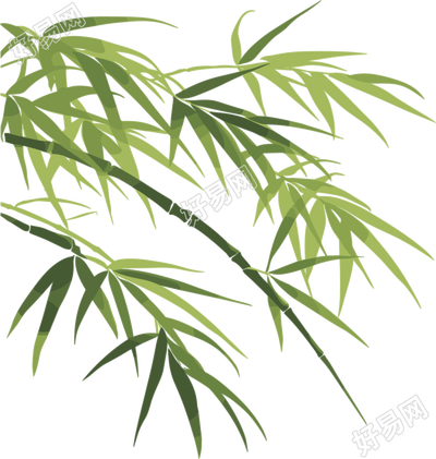 竹叶插画设计元素