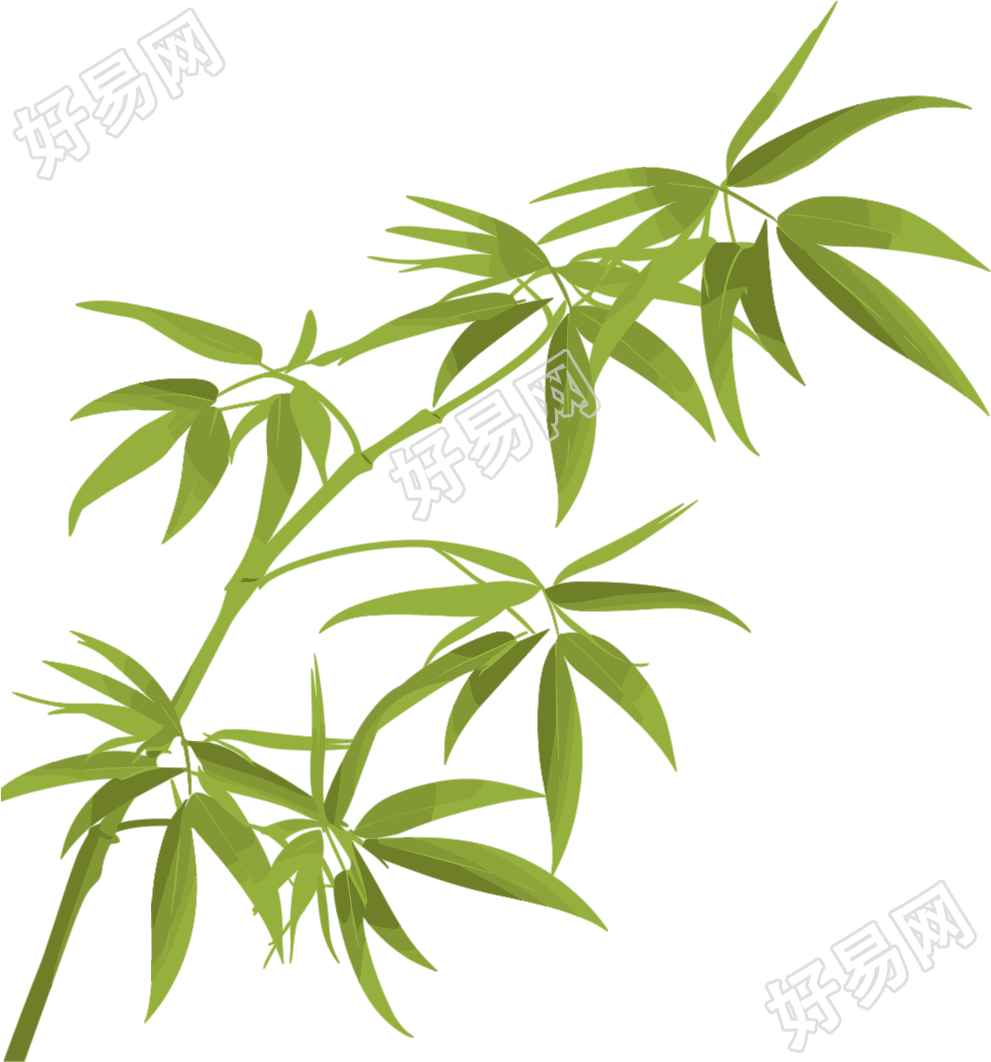 竹叶插图素材