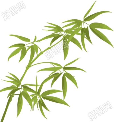 竹叶插图素材