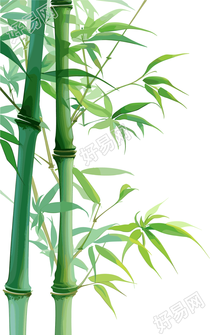 竹子简洁素材