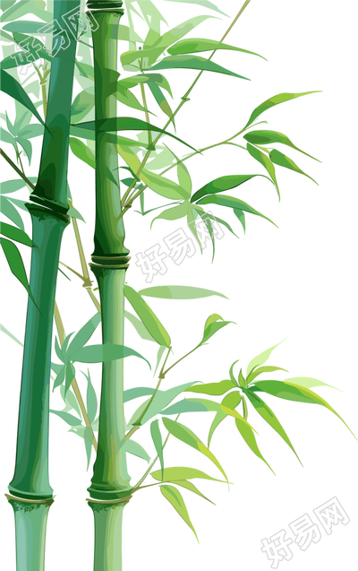 竹子简洁素材