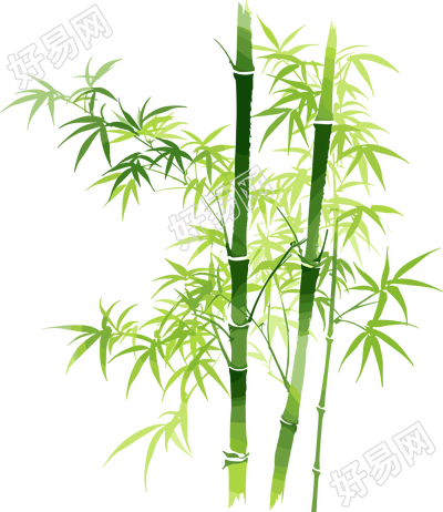 竹子矢量插图