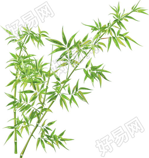 竹叶插画图形素材
