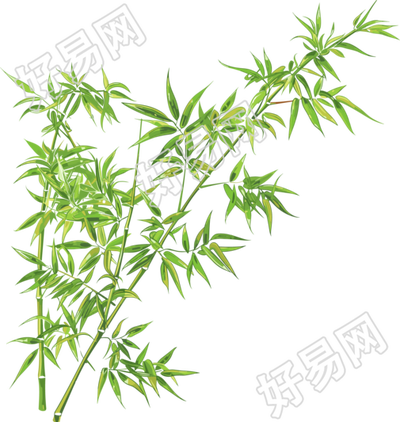 竹叶插画图形素材
