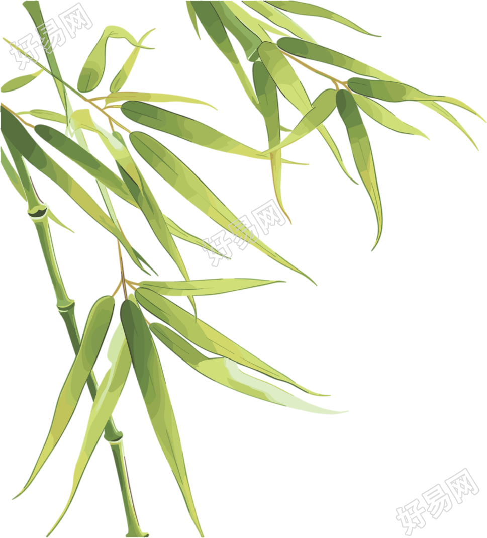 竹叶高清素材