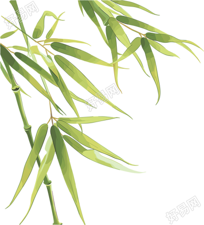 竹叶高清素材