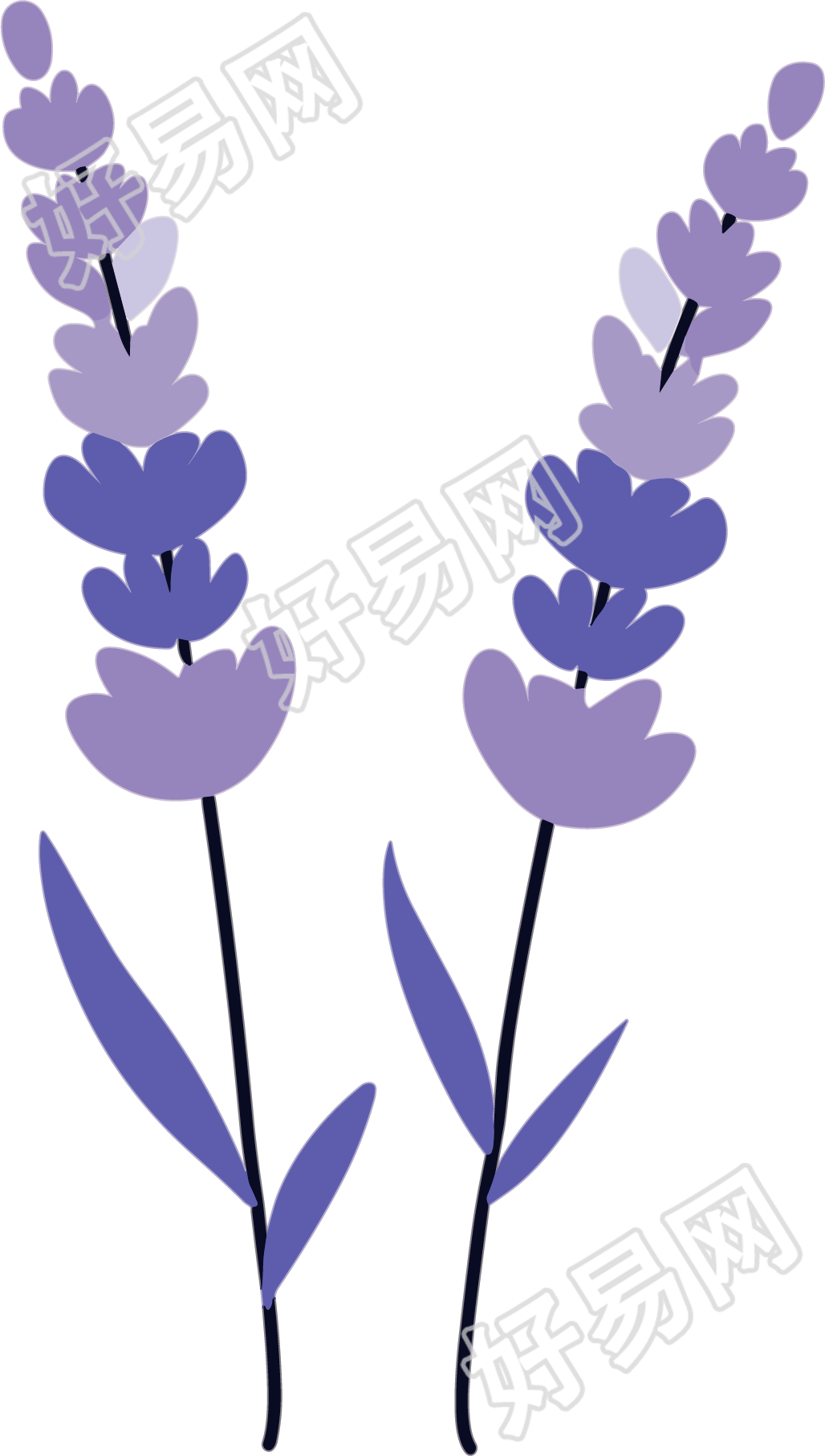 薰衣草插画设计元素