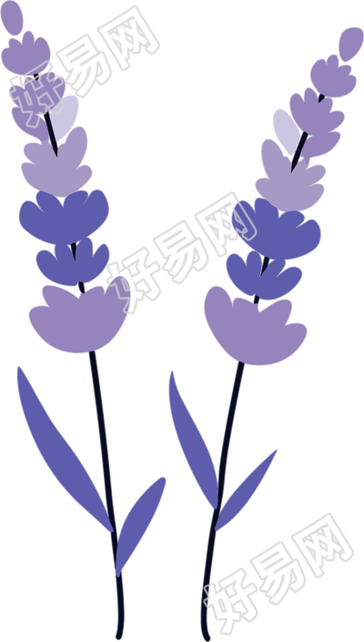 薰衣草插画设计元素