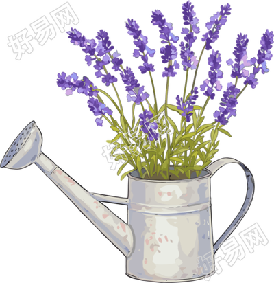 薰衣草浇水壶插图
