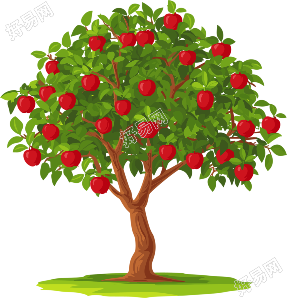 苹果树矢量PNG插图