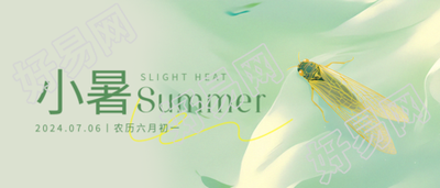 小暑时节夏蝉简约微信公众号首图