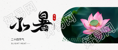 小暑时节荷花实景微信公众号首图